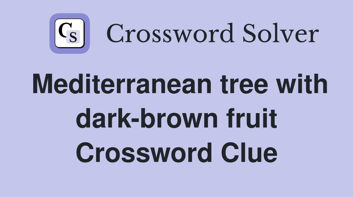Mediterranean tree with dark-brown fruit Crossword Clue