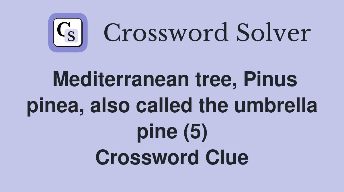Mediterranean tree, Pinus pinea, also called the umbrella pine (5) Crossword Clue