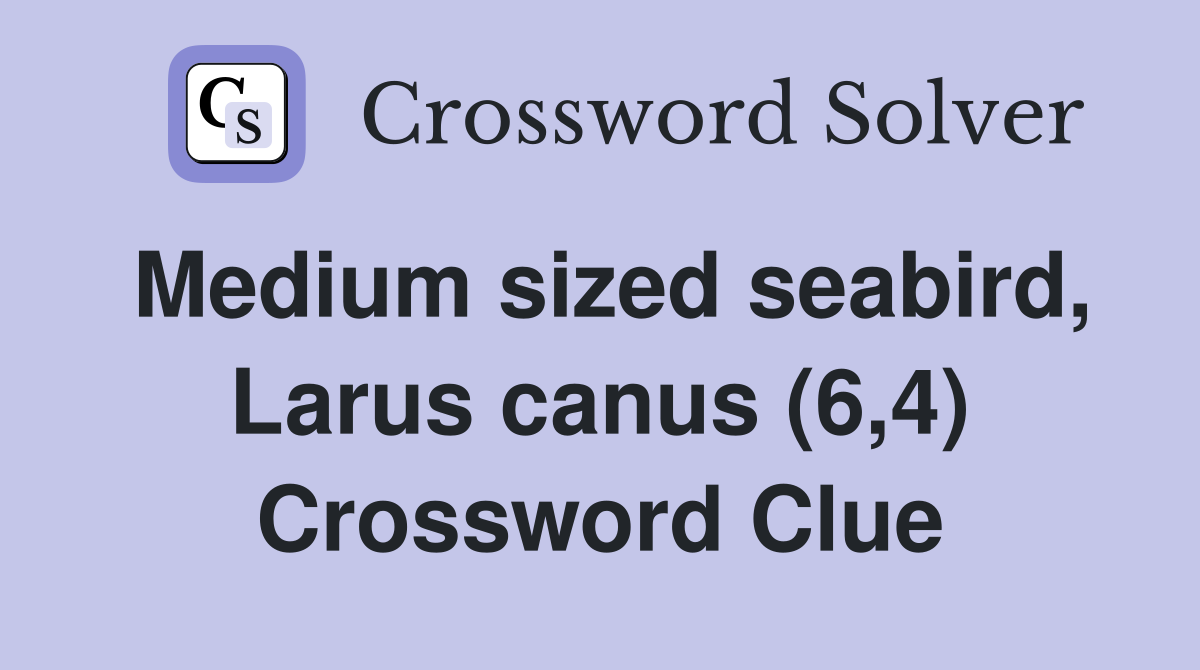 Medium sized seabird, Larus canus (6,4) Crossword Clue