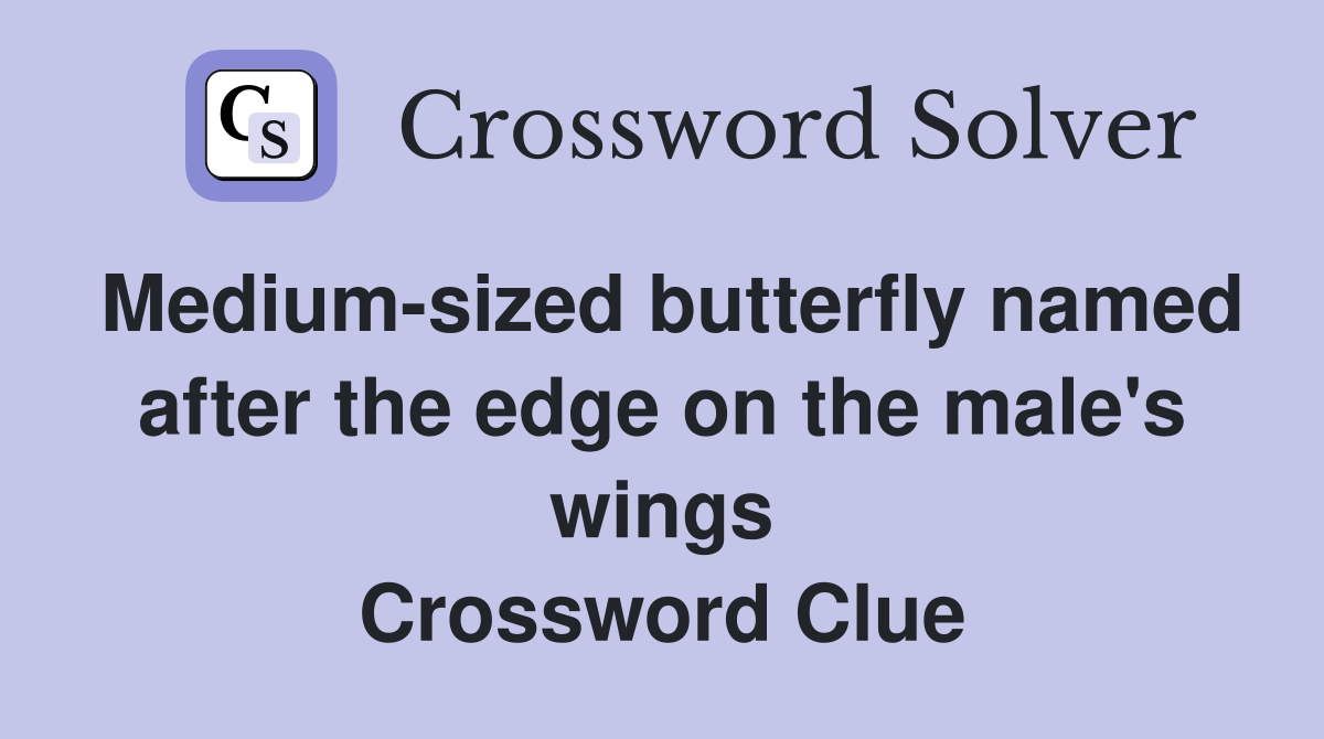 Medium-sized butterfly named after the edge on the male's wings Crossword Clue