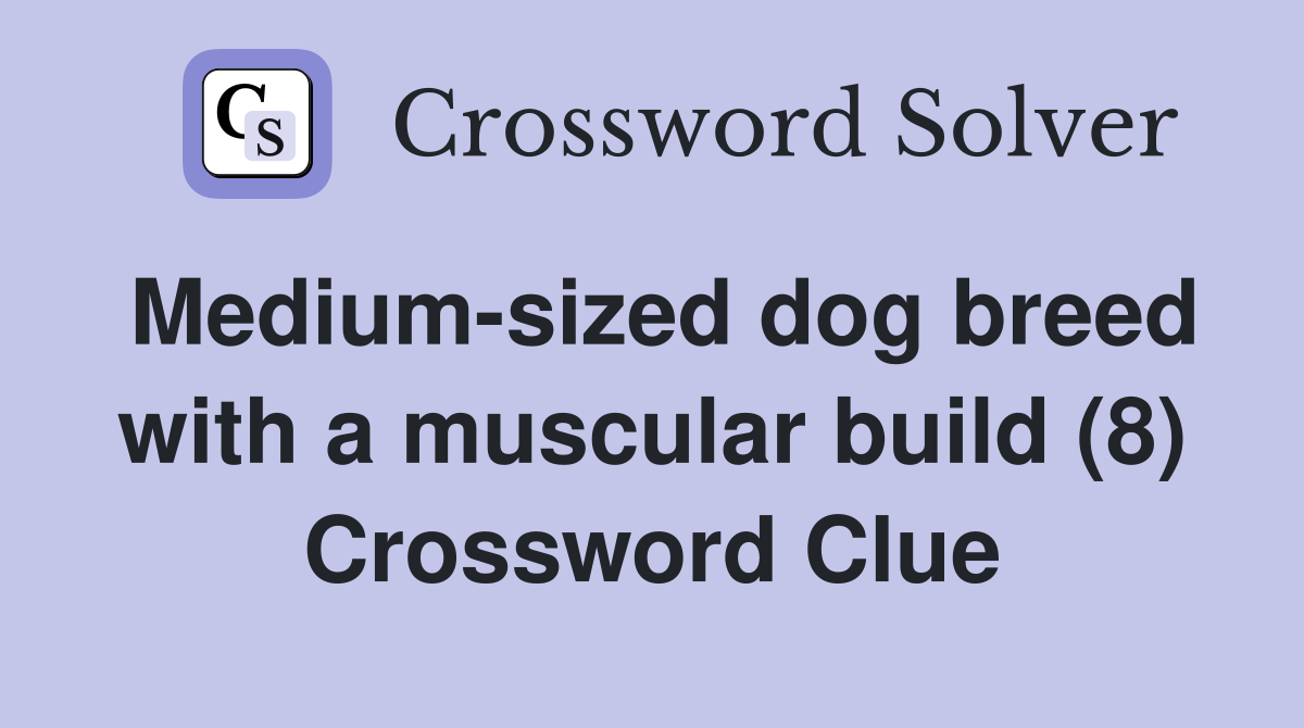Medium-sized dog breed with a muscular build (8) Crossword Clue