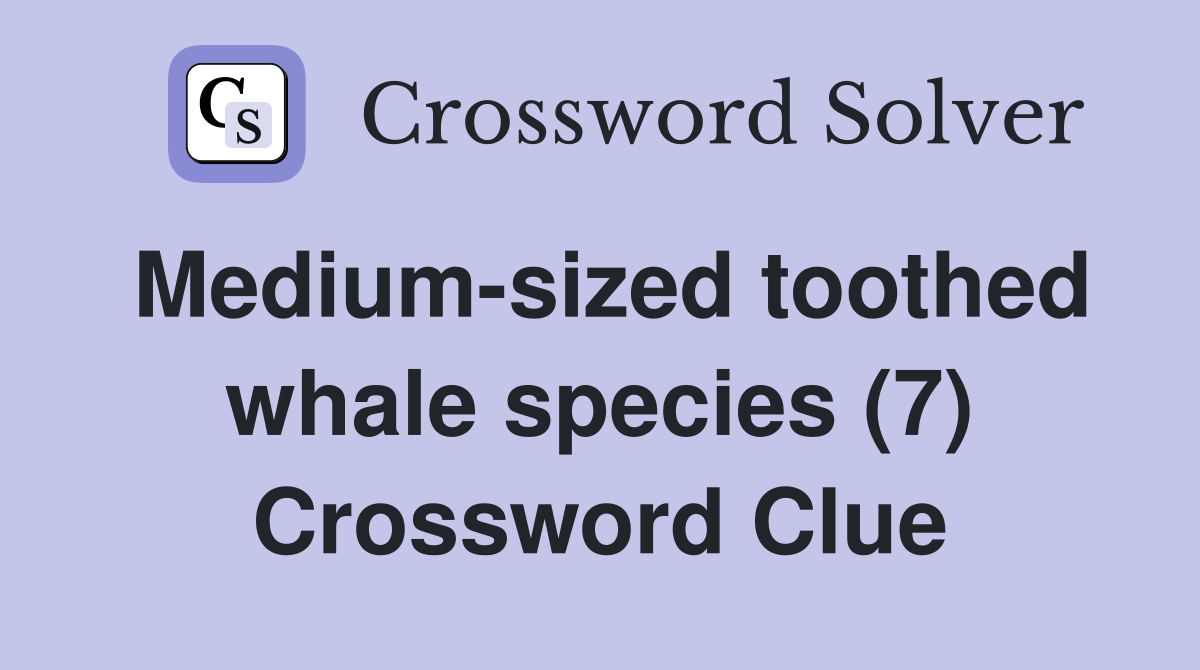 Medium-sized toothed whale species (7) Crossword Clue