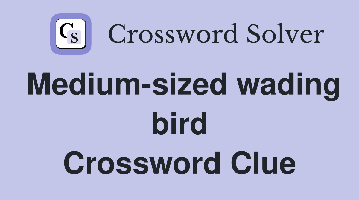 Medium-sized wading bird Crossword Clue