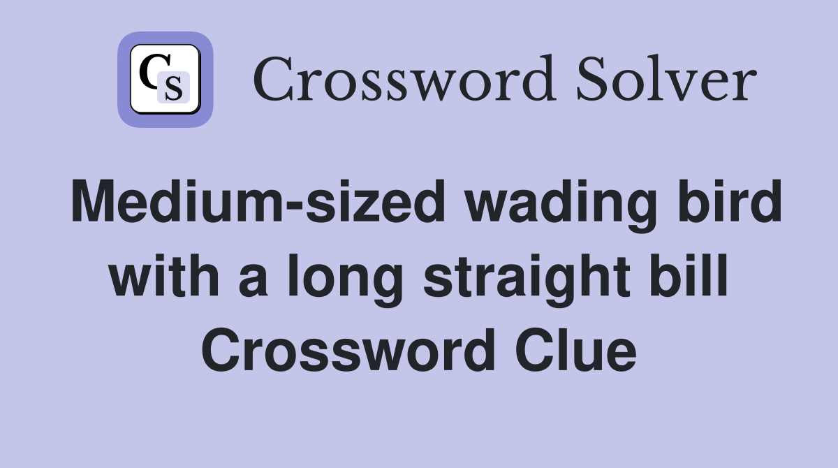 Medium-sized wading bird with a long straight bill Crossword Clue