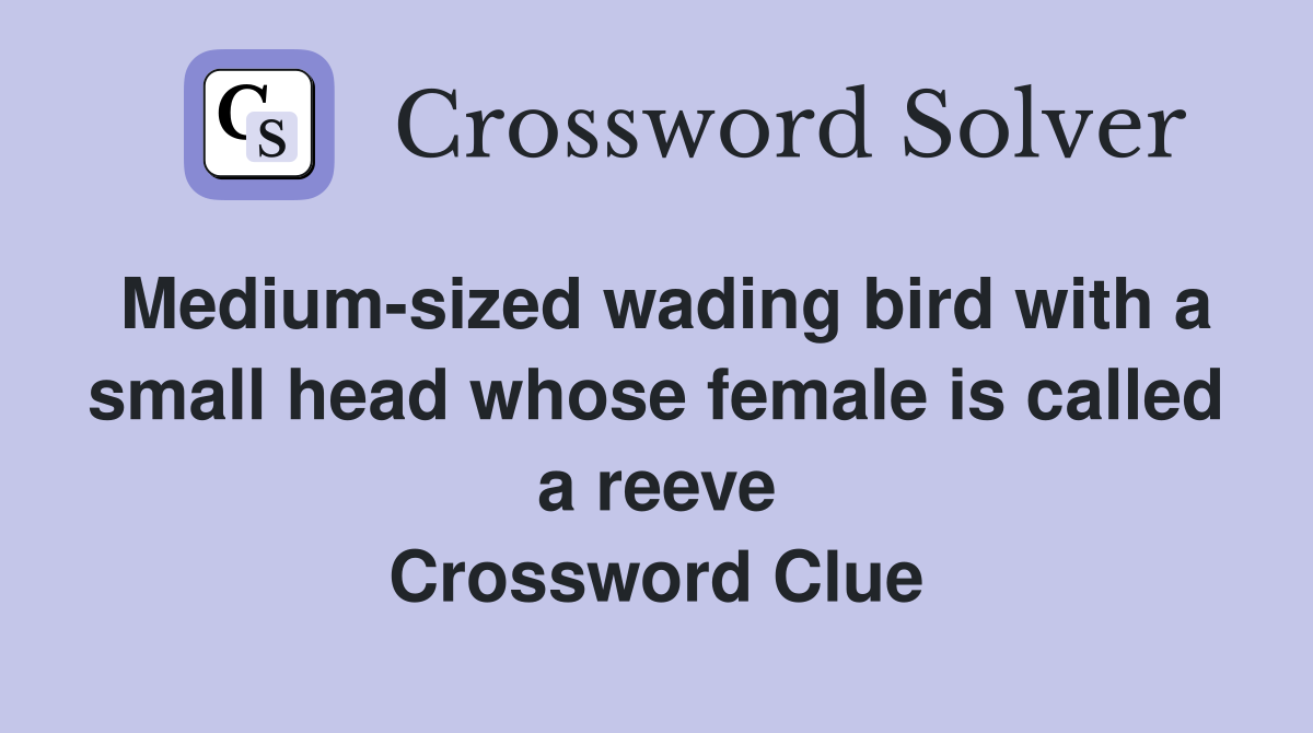 Medium-sized wading bird with a small head whose female is called a reeve Crossword Clue