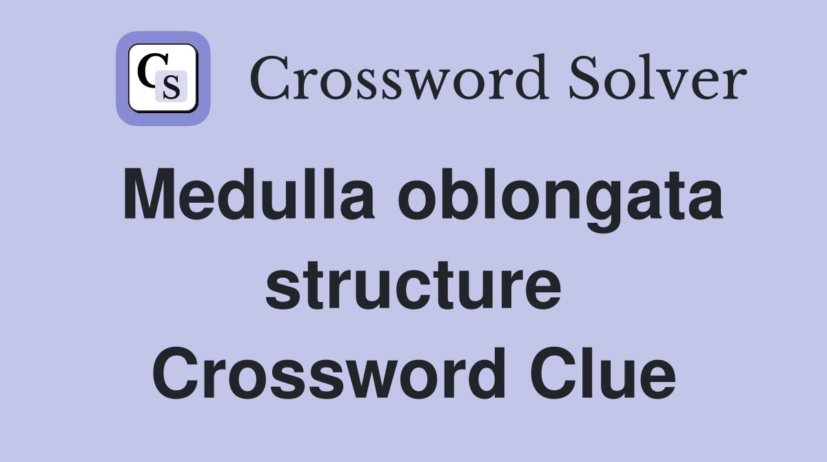 Medulla oblongata structure Crossword Clue