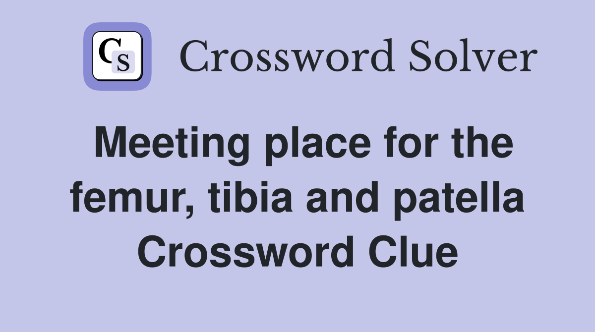 Meeting place for the femur, tibia and patella Crossword Clue