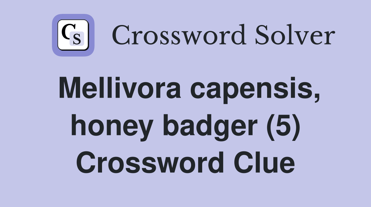 Mellivora capensis, honey badger (5) Crossword Clue