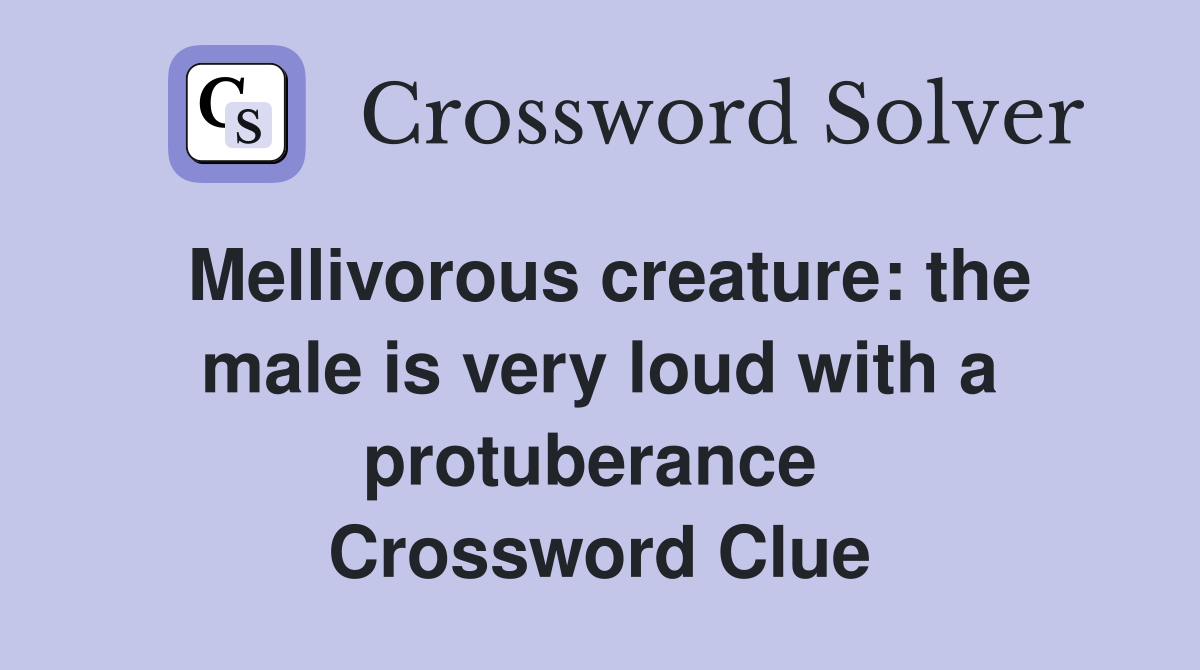Mellivorous creature: the male is very loud with a protuberance  Crossword Clue