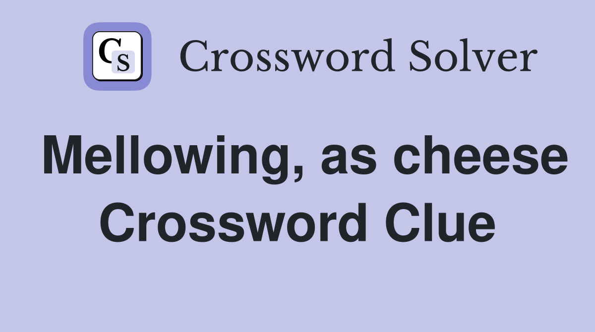 Mellowing, as cheese Crossword Clue
