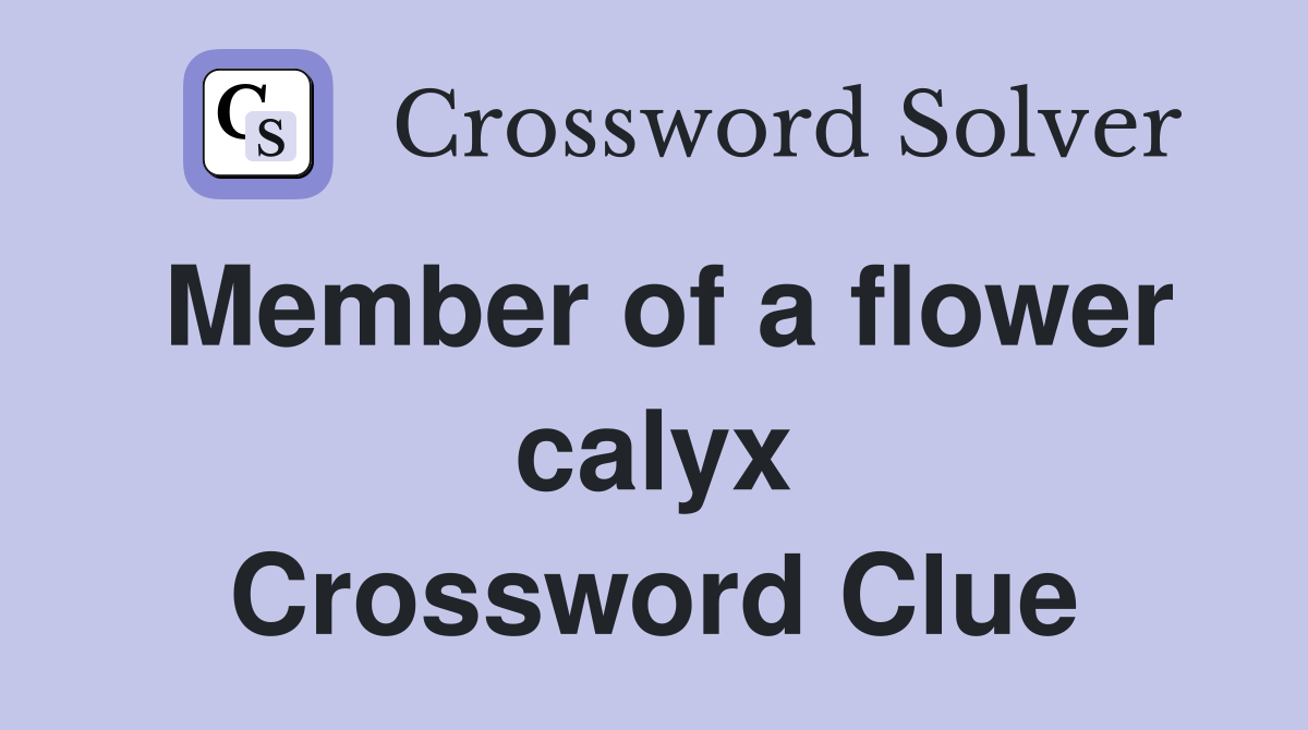 Member of a flower calyx Crossword Clue