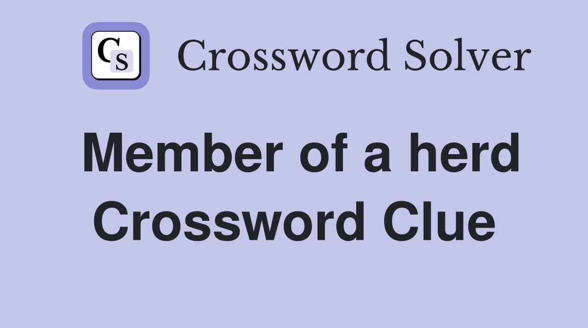 Member of a herd Crossword Clue