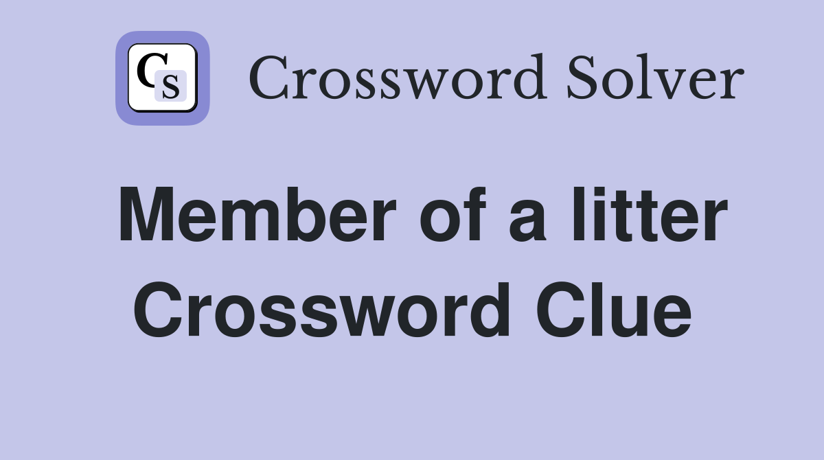 Member of a litter Crossword Clue