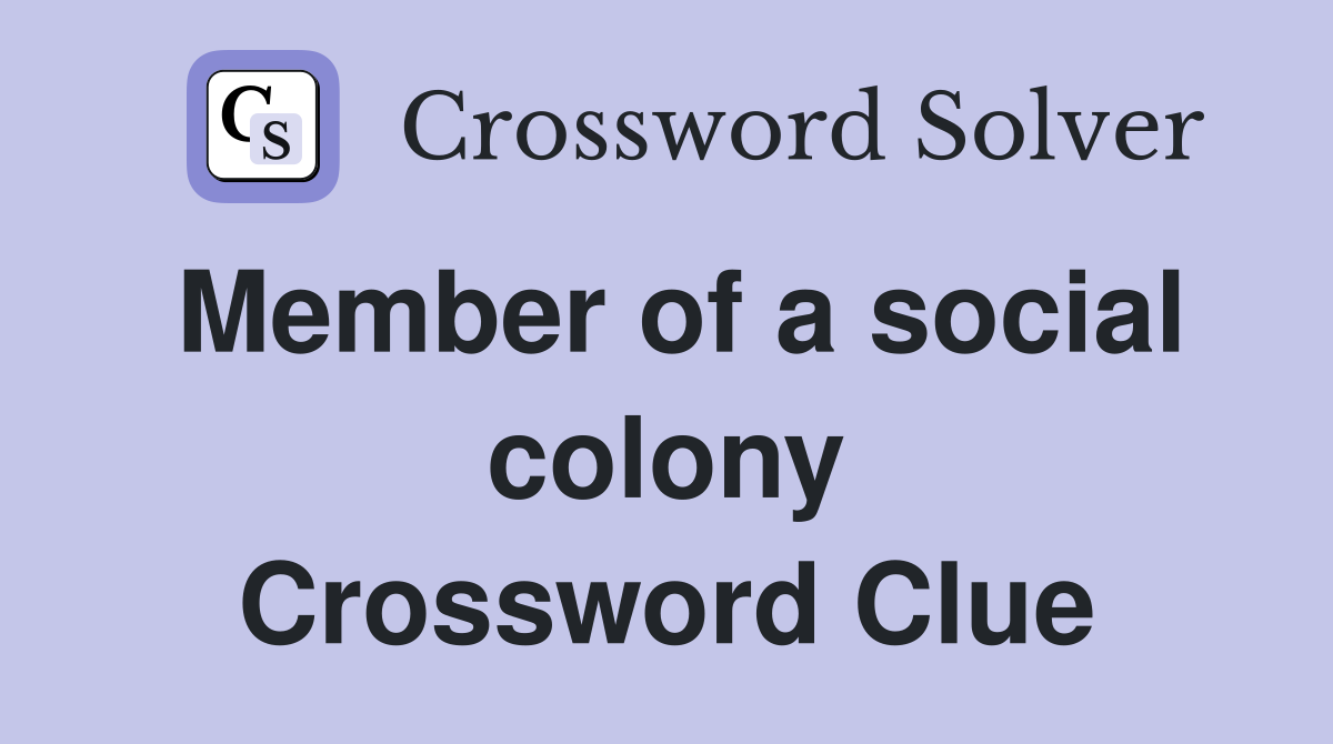 Member of a social colony Crossword Clue