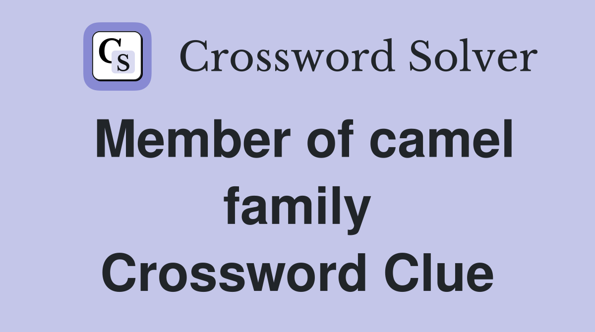 Member of camel family Crossword Clue