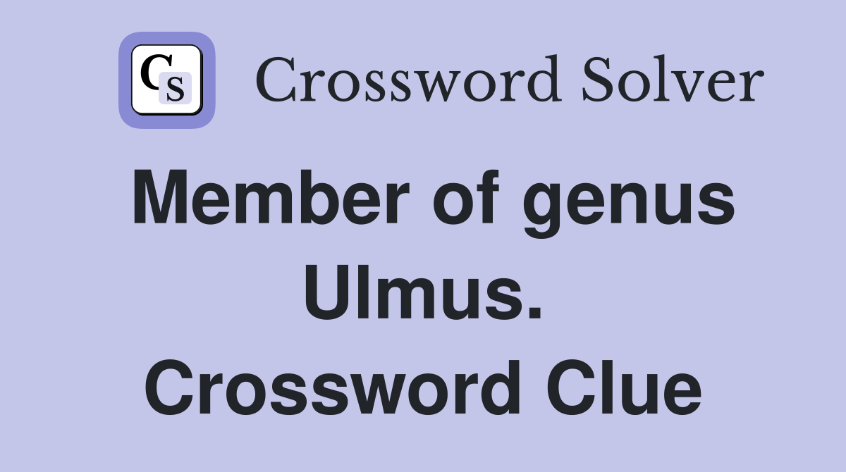 Member of genus Ulmus. Crossword Clue