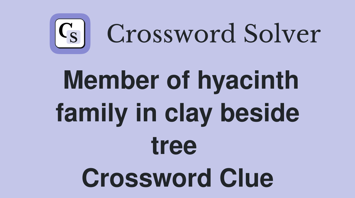 Member of hyacinth family in clay beside tree  Crossword Clue