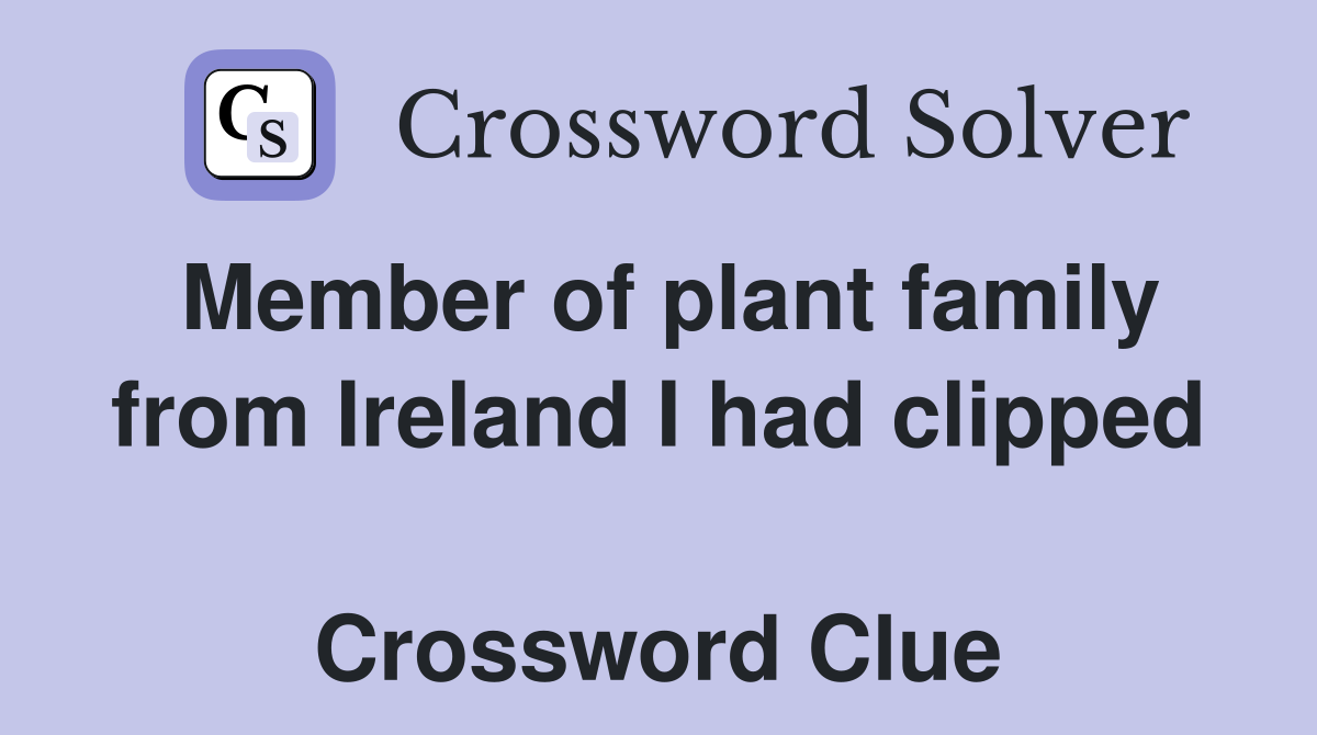 Member of plant family from Ireland I had clipped  Crossword Clue