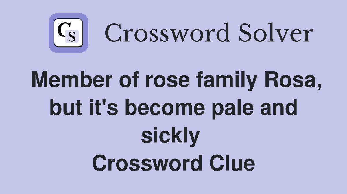 Member of rose family Rosa, but it's become pale and sickly  Crossword Clue