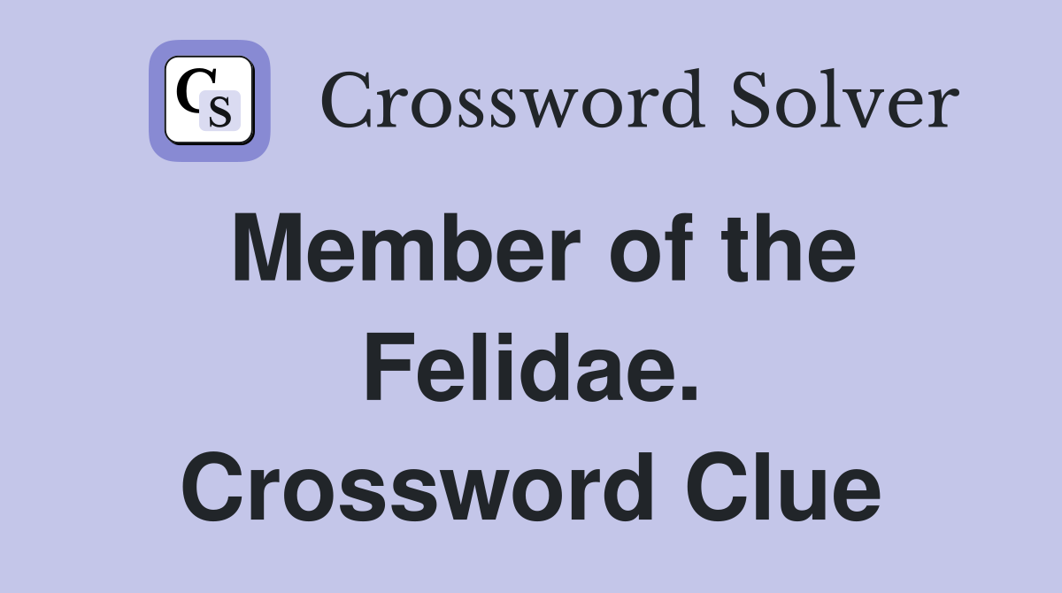 Member of the Felidae. Crossword Clue