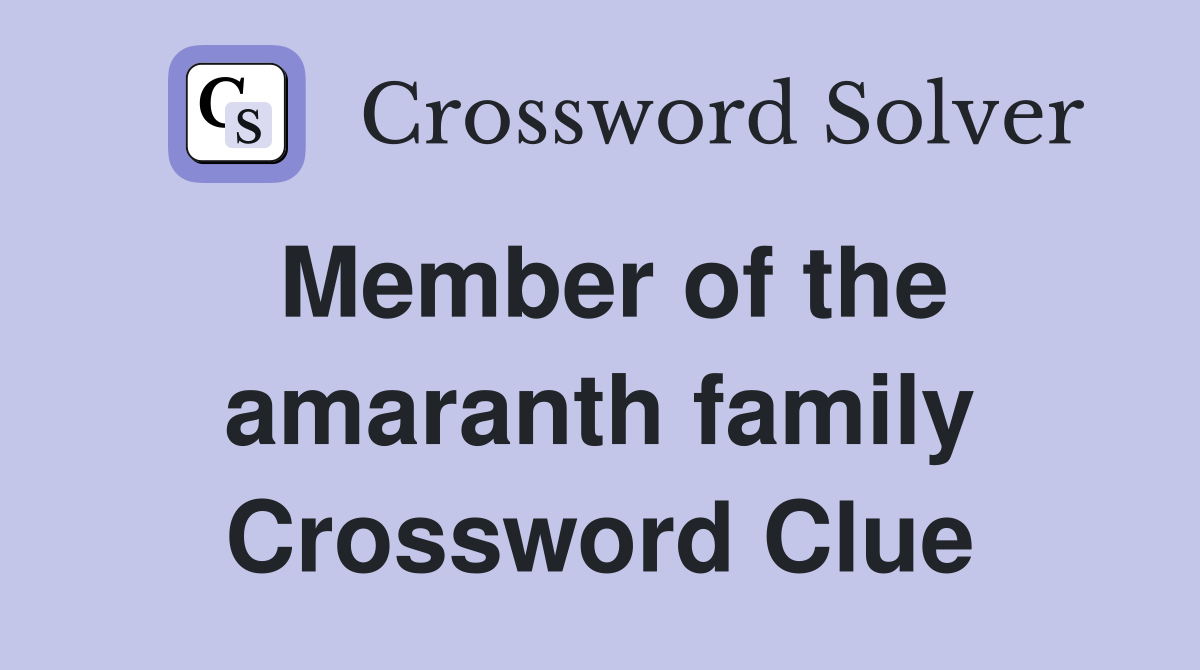 Member of the amaranth family Crossword Clue