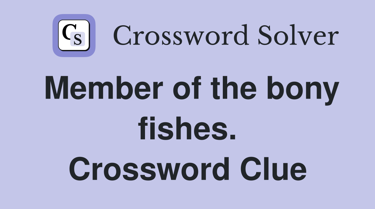 Member of the bony fishes. Crossword Clue