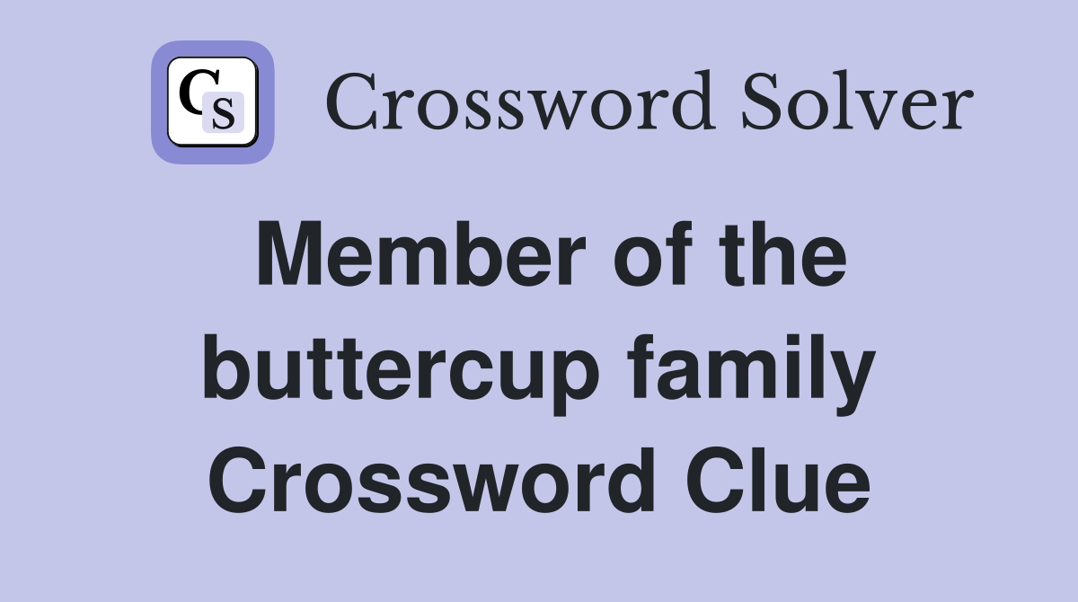 Member of the buttercup family Crossword Clue