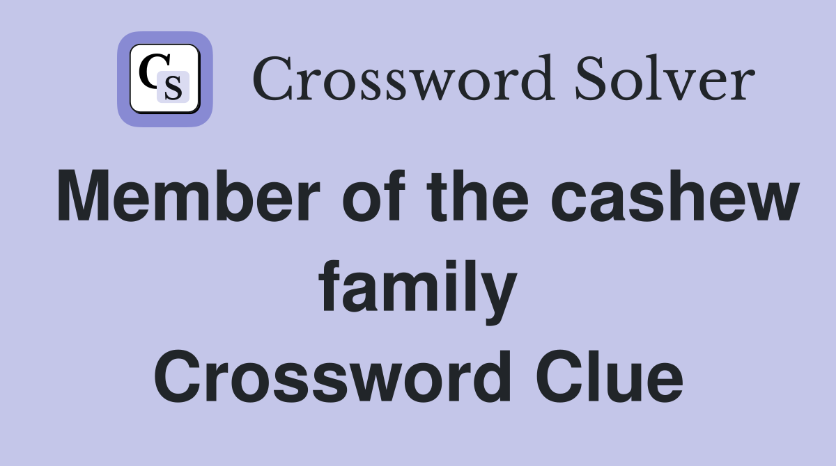 Member of the cashew family Crossword Clue