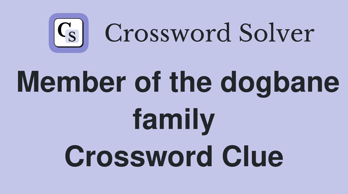 Member of the dogbane family Crossword Clue