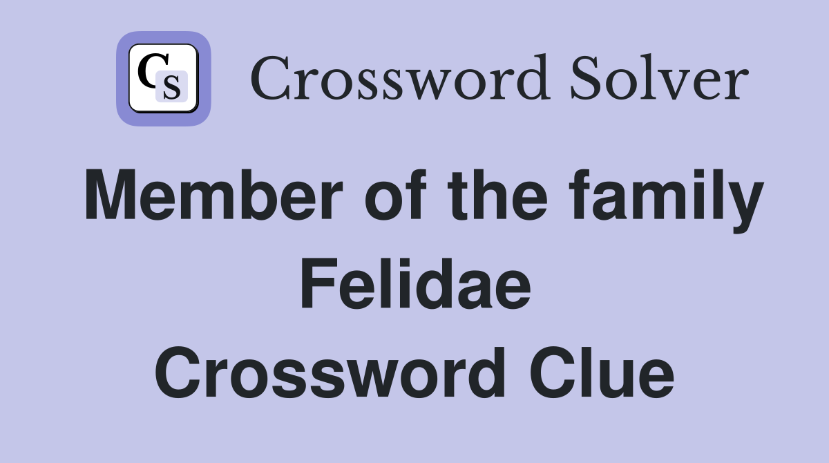 Member of the family Felidae Crossword Clue