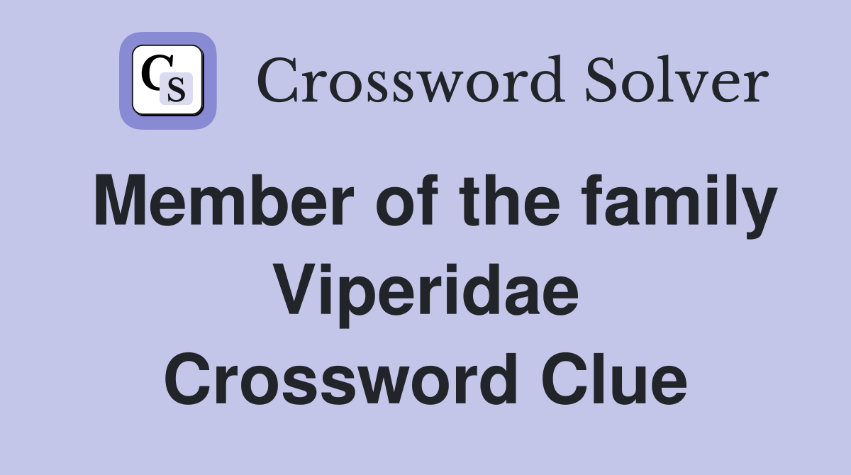 Member of the family Viperidae Crossword Clue