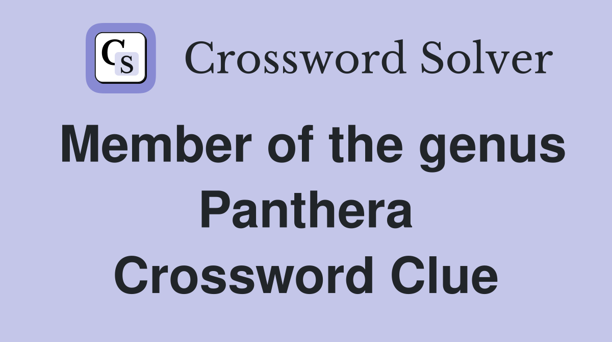 Member of the genus Panthera Crossword Clue