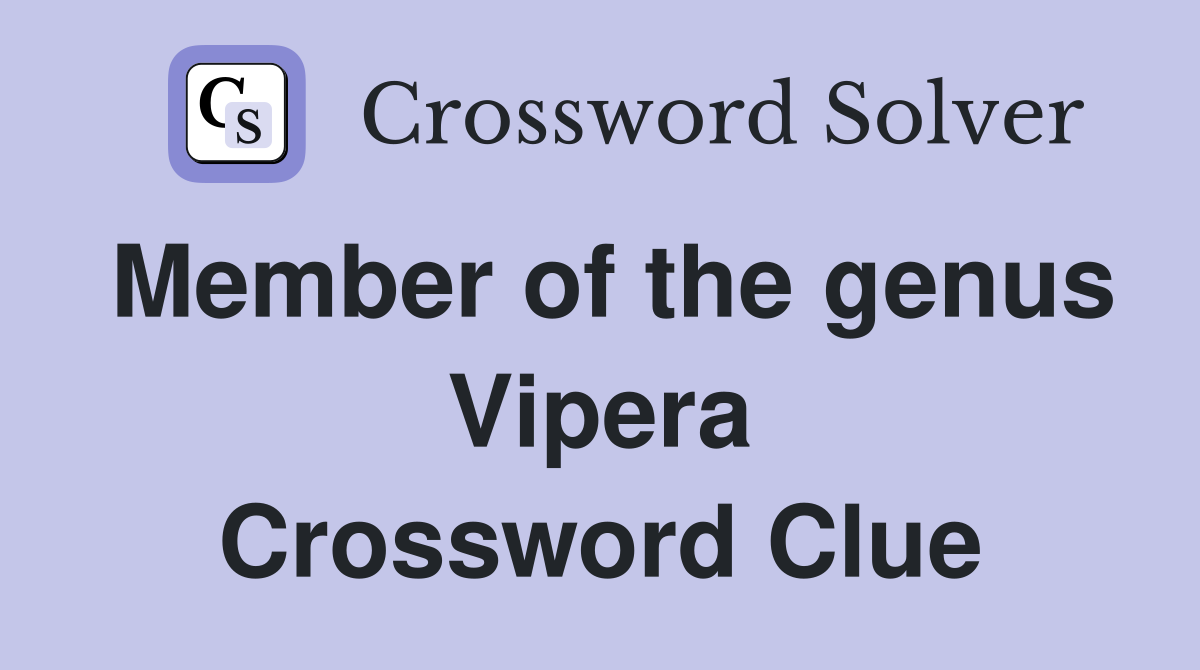 Member of the genus Vipera Crossword Clue