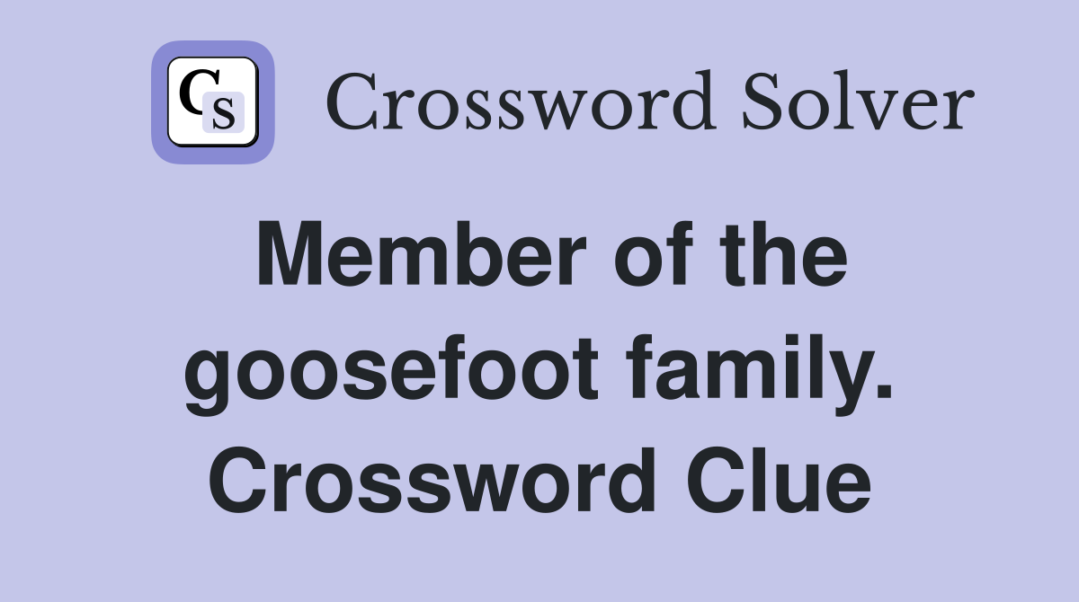Member of the goosefoot family. Crossword Clue
