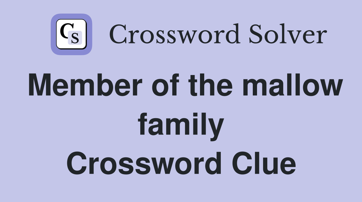Member of the mallow family Crossword Clue