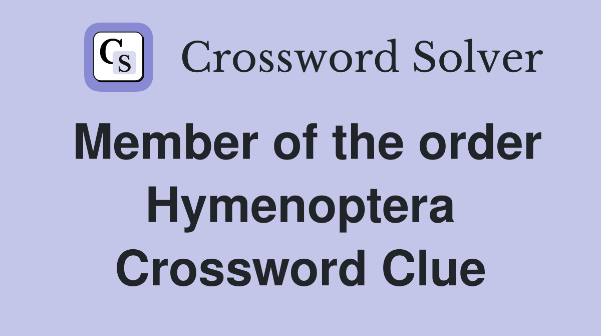 Member of the order Hymenoptera Crossword Clue