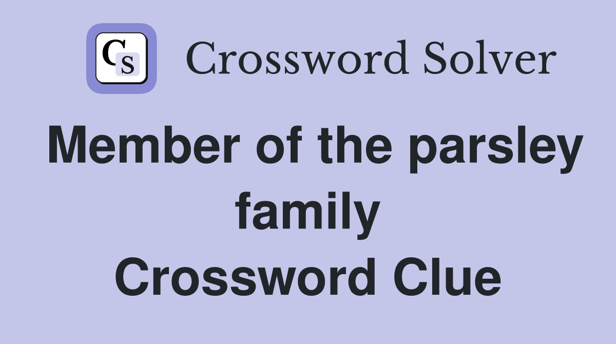 Member of the parsley family Crossword Clue