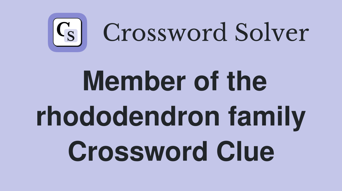 Member of the rhododendron family Crossword Clue