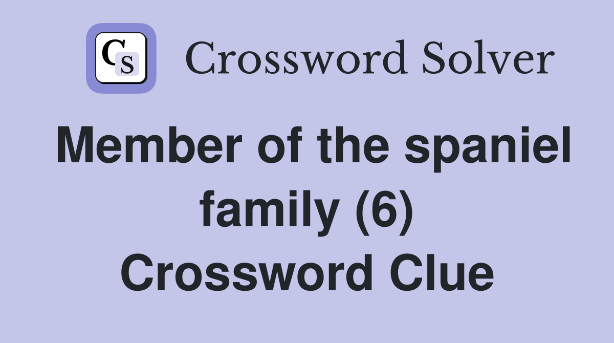 Member of the spaniel family (6) Crossword Clue