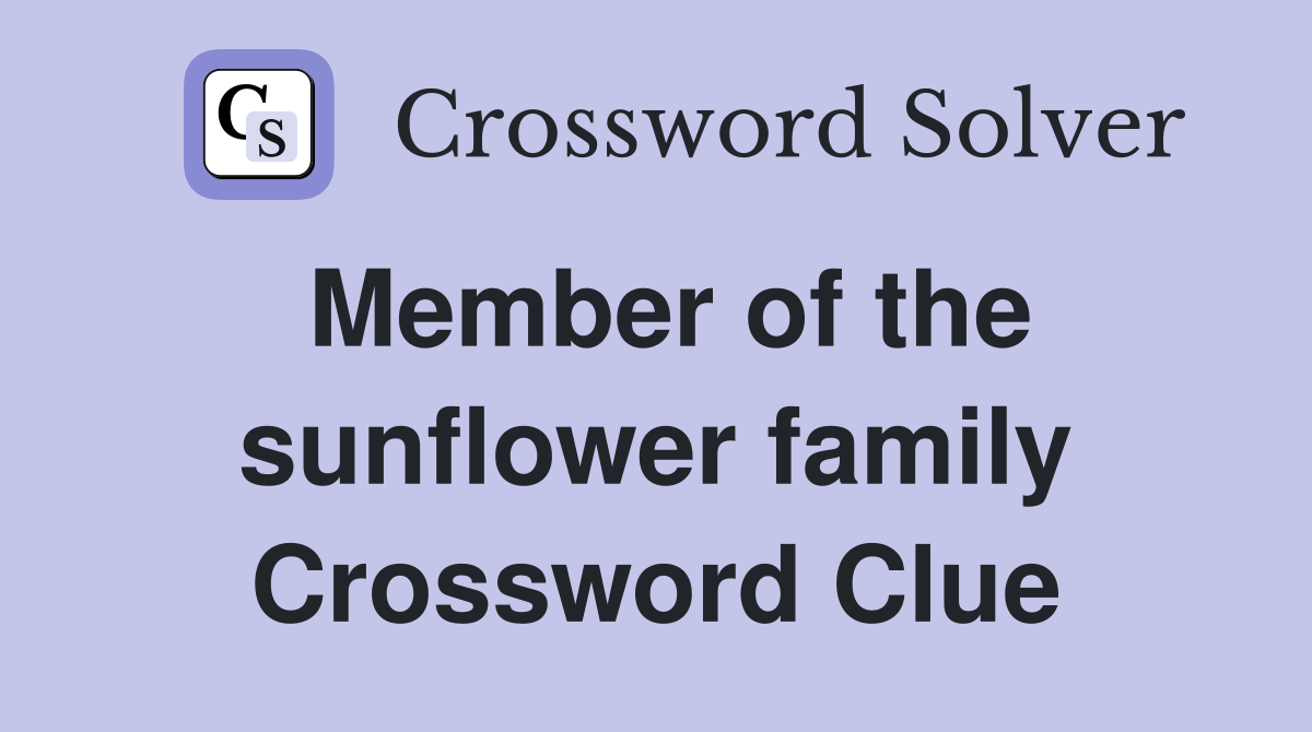 Member of the sunflower family Crossword Clue