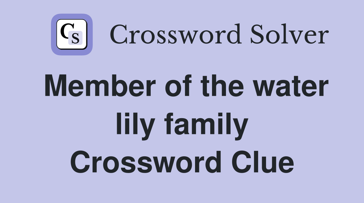 Member of the water lily family Crossword Clue