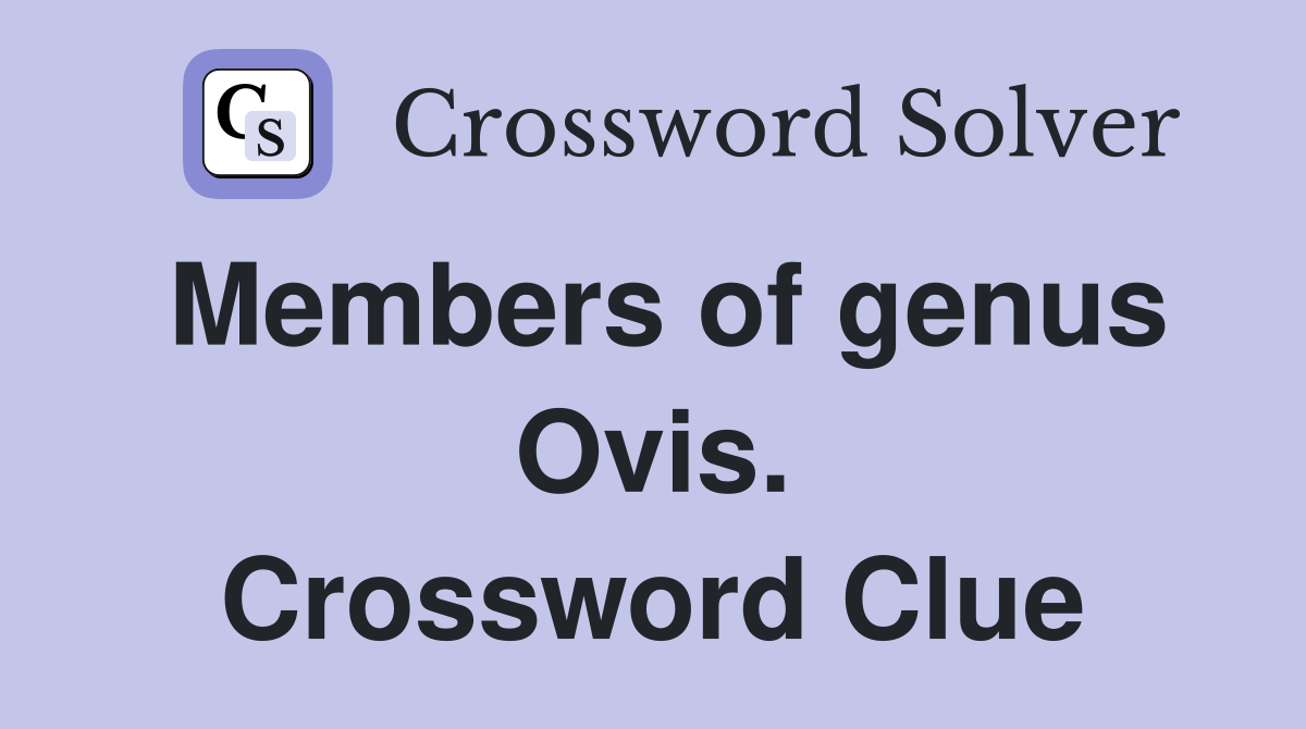 Members of genus Ovis. Crossword Clue
