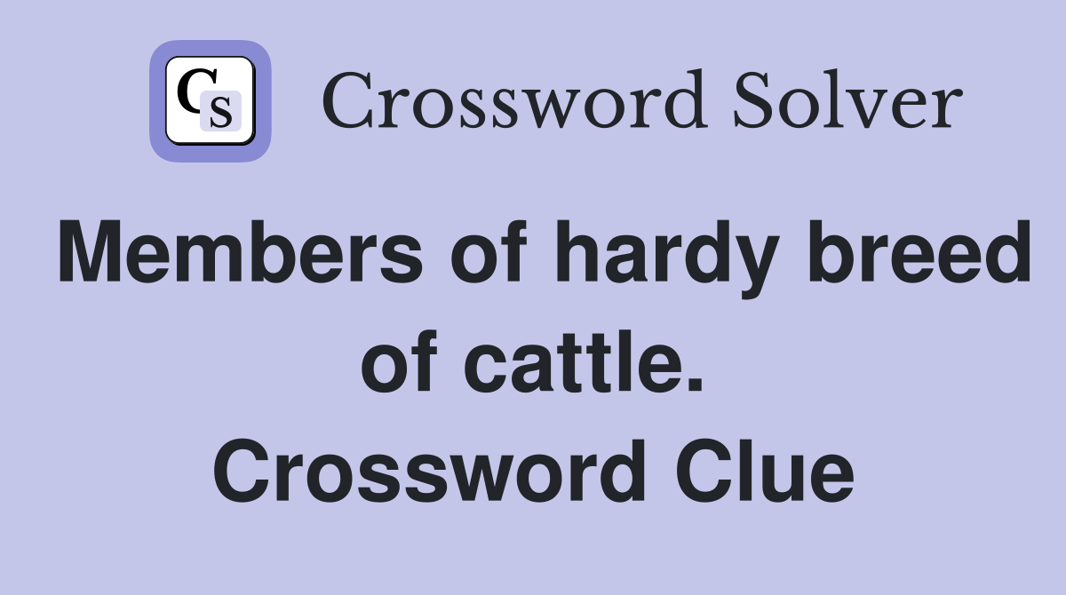 Members of hardy breed of cattle. Crossword Clue