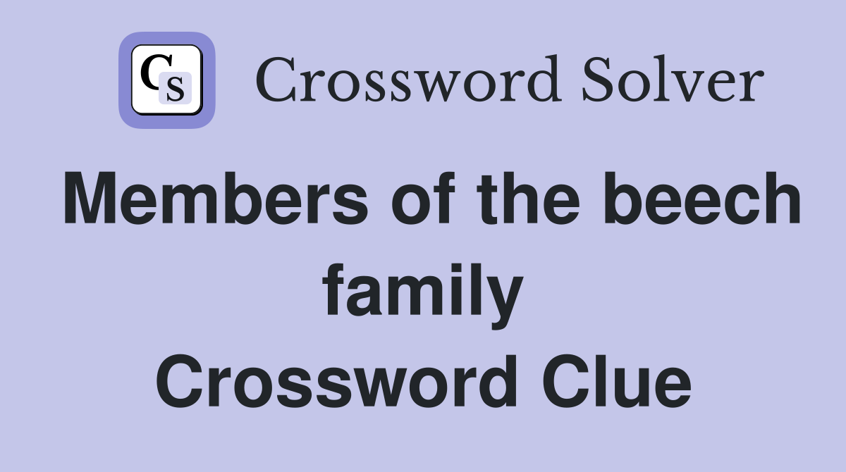 Members of the beech family Crossword Clue