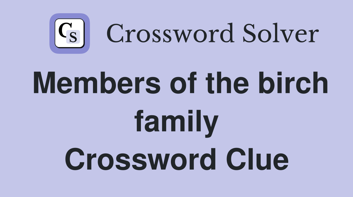 Members of the birch family Crossword Clue