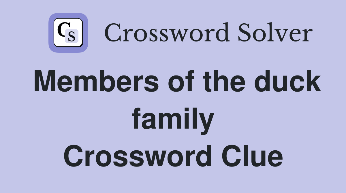 Members of the duck family Crossword Clue