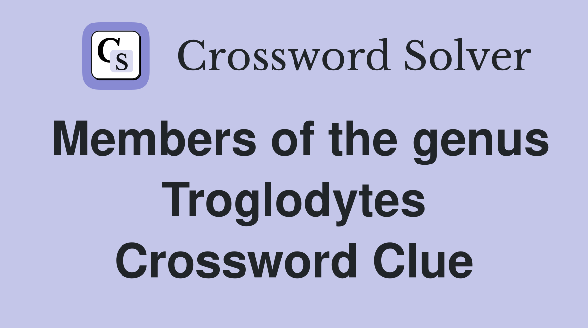 Members of the genus Troglodytes Crossword Clue