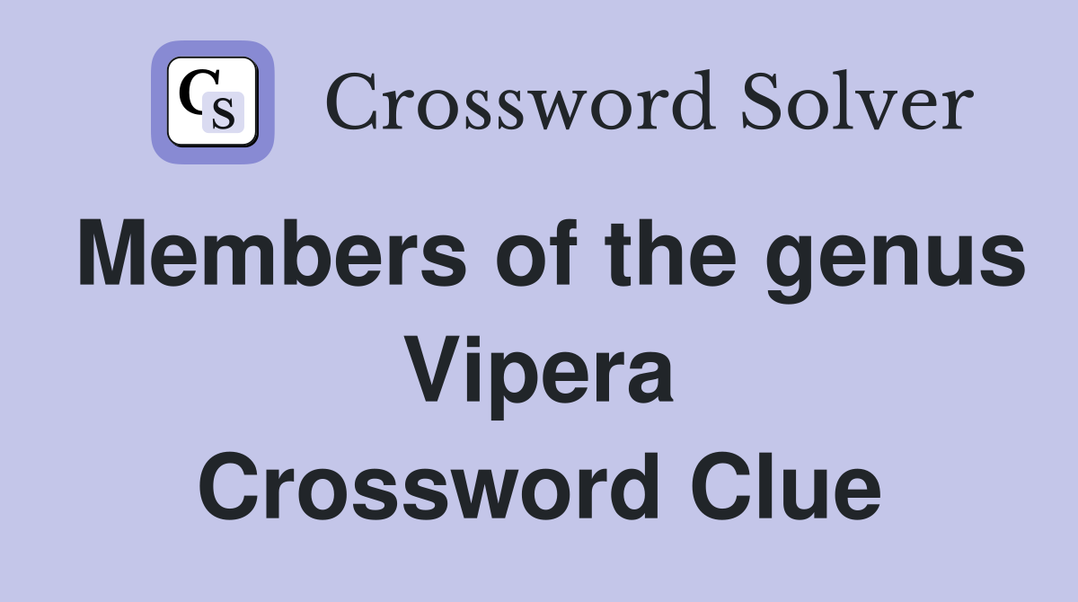 Members of the genus Vipera Crossword Clue