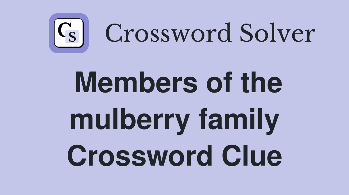 Members of the mulberry family Crossword Clue
