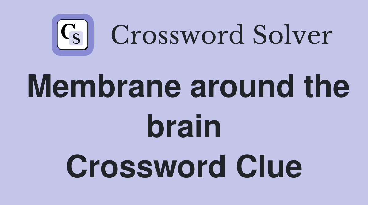 Membrane around the brain Crossword Clue